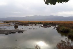 کاهش ۴۰ درصدی آب دریاچه زریبار مریوان